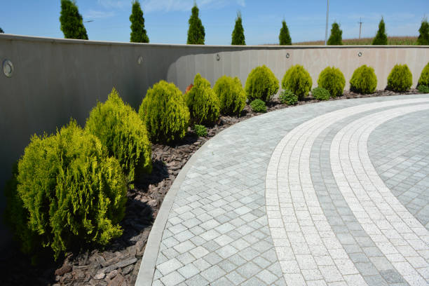 Best Concrete Paver Driveway  in Canyon Lake, TX