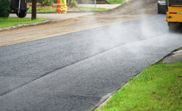 Best Decorative Driveway Pavers  in Canyon Lake, TX