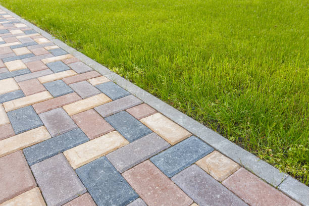 Best Local Driveway Pavers  in Canyon Lake, TX